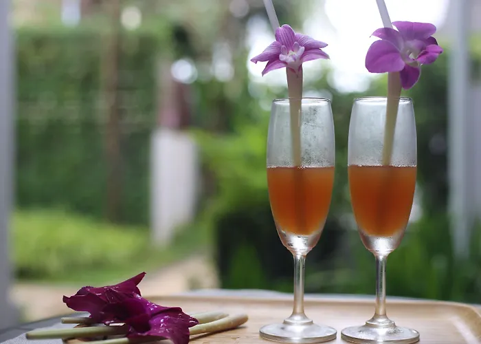 Hotel Damrei & Siem Reap