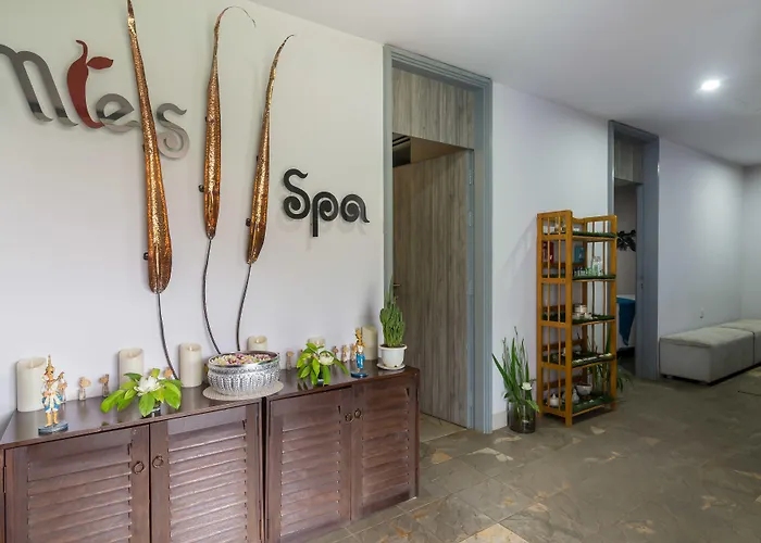 Damrei & 5* Siem Reap