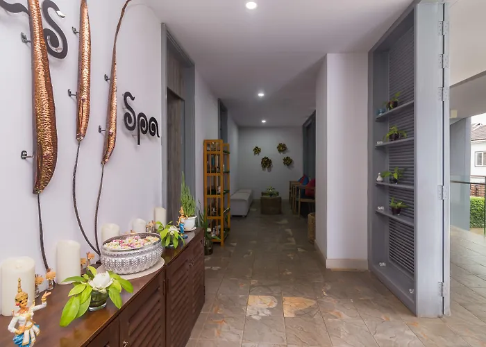 Damrei & Siem Reap