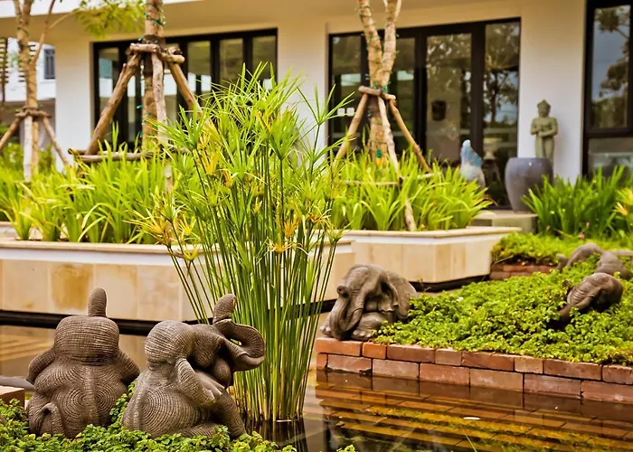 Damrei & 5* Siem Reap