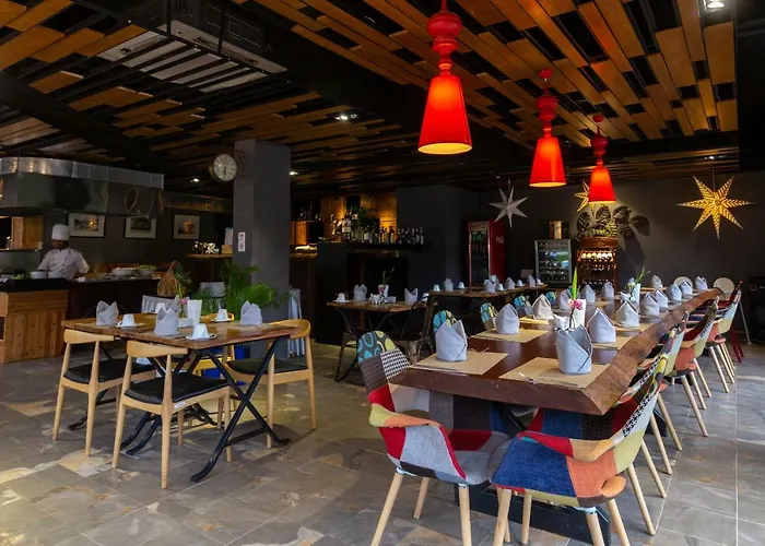 Damrei & Siem Reap