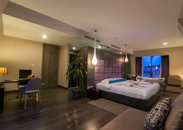 Damrei & Hotel Siem Reap